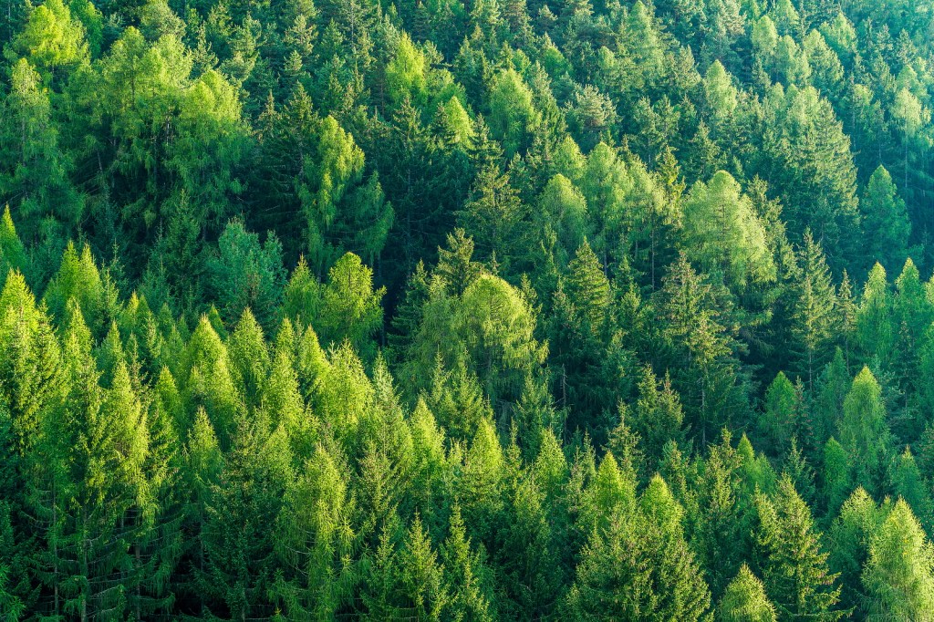 Sustentabilidade-Fibope